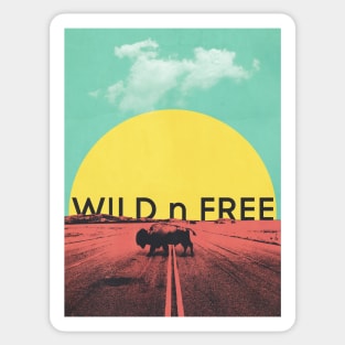 Wild Bison Roaming Graphic Art Sticker